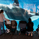 Illustration for article titled Captive Orca Breeding Banned at SeaWorld San Diego